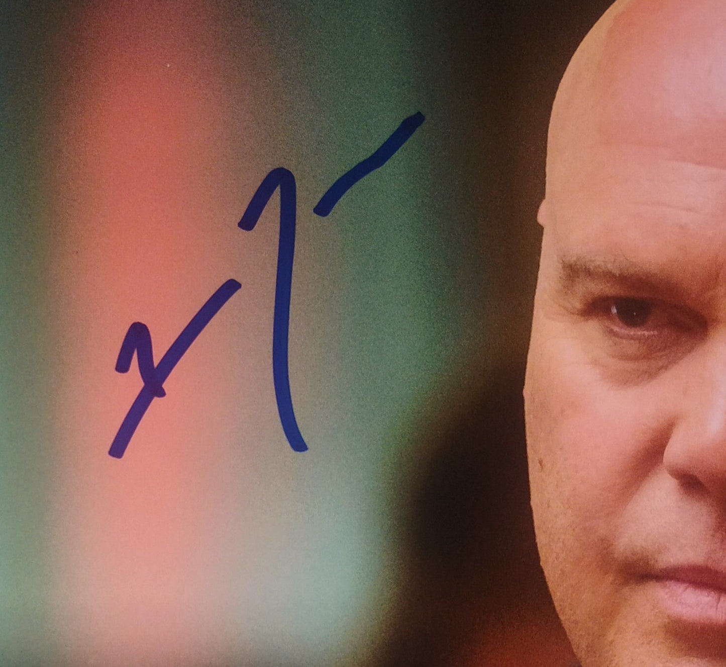 Vincent D'Onofrio Hand Signed Autograph 8x10 Photo COA Daredevil