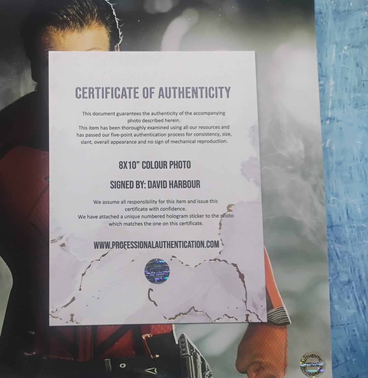David Harbour Hand Signed Autograph 8x10 Photo COA Red Guardian