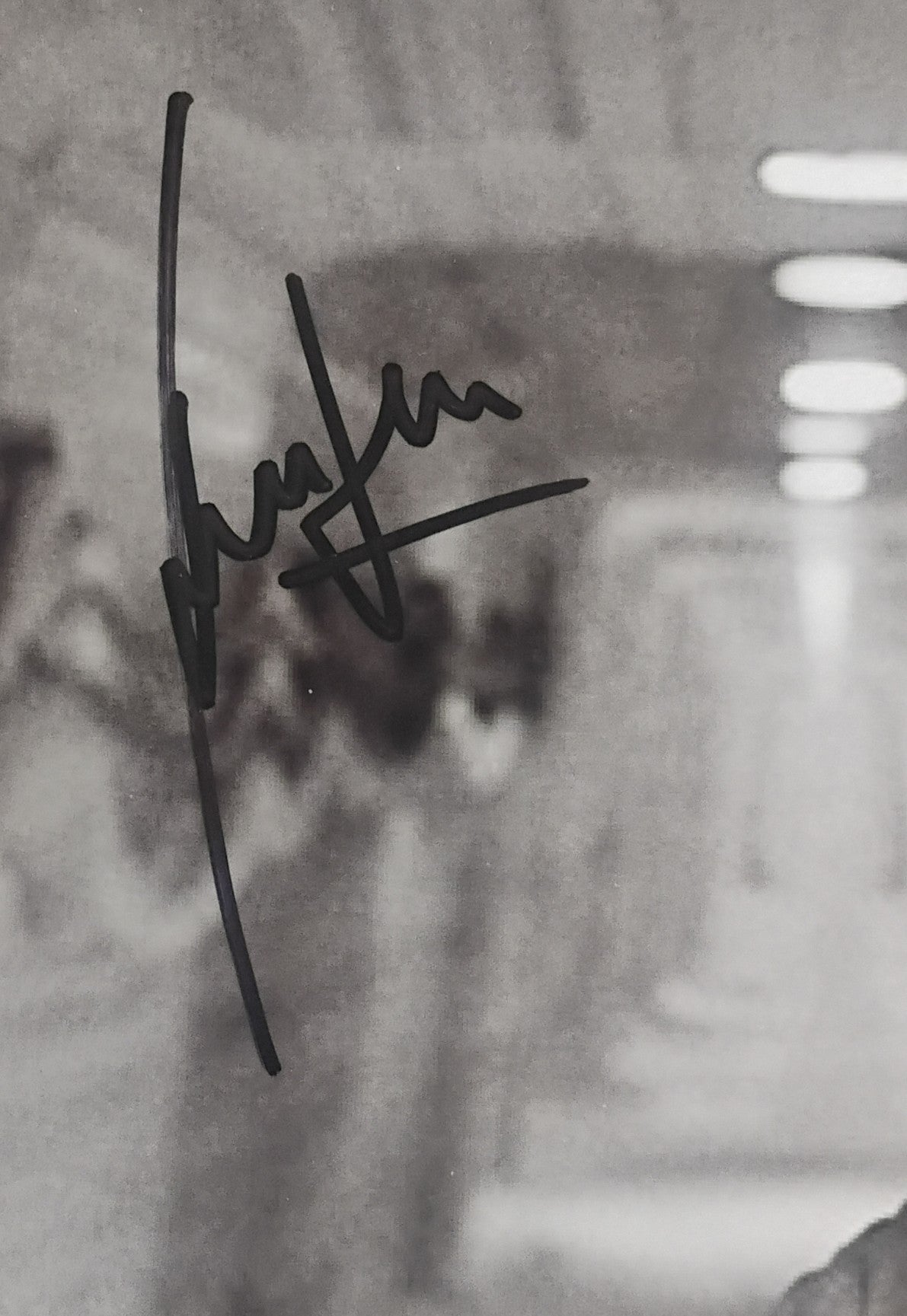 Harrison Ford Hand Signed Autograph 8x10 Photo COA Star Wars