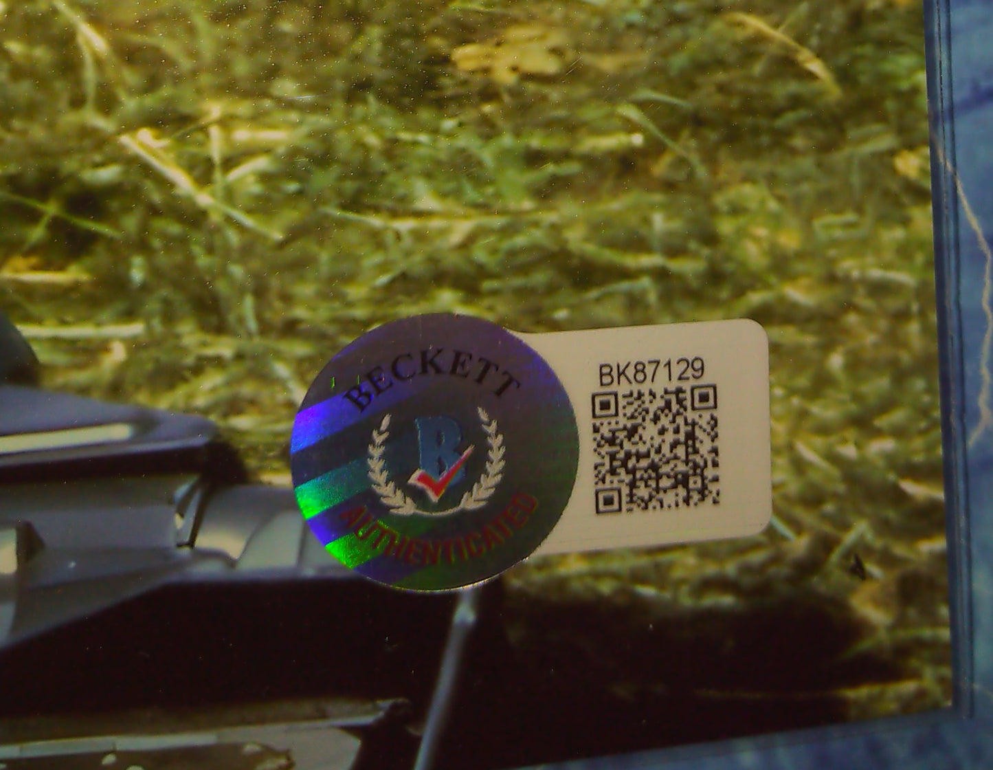 Tim Blaney Hand Signed Autograph 8x10 Photo COA Short Circuit