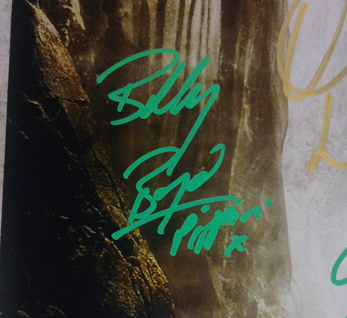 Lord Of The Rings 9x Hand Signed Autograph Poster COA