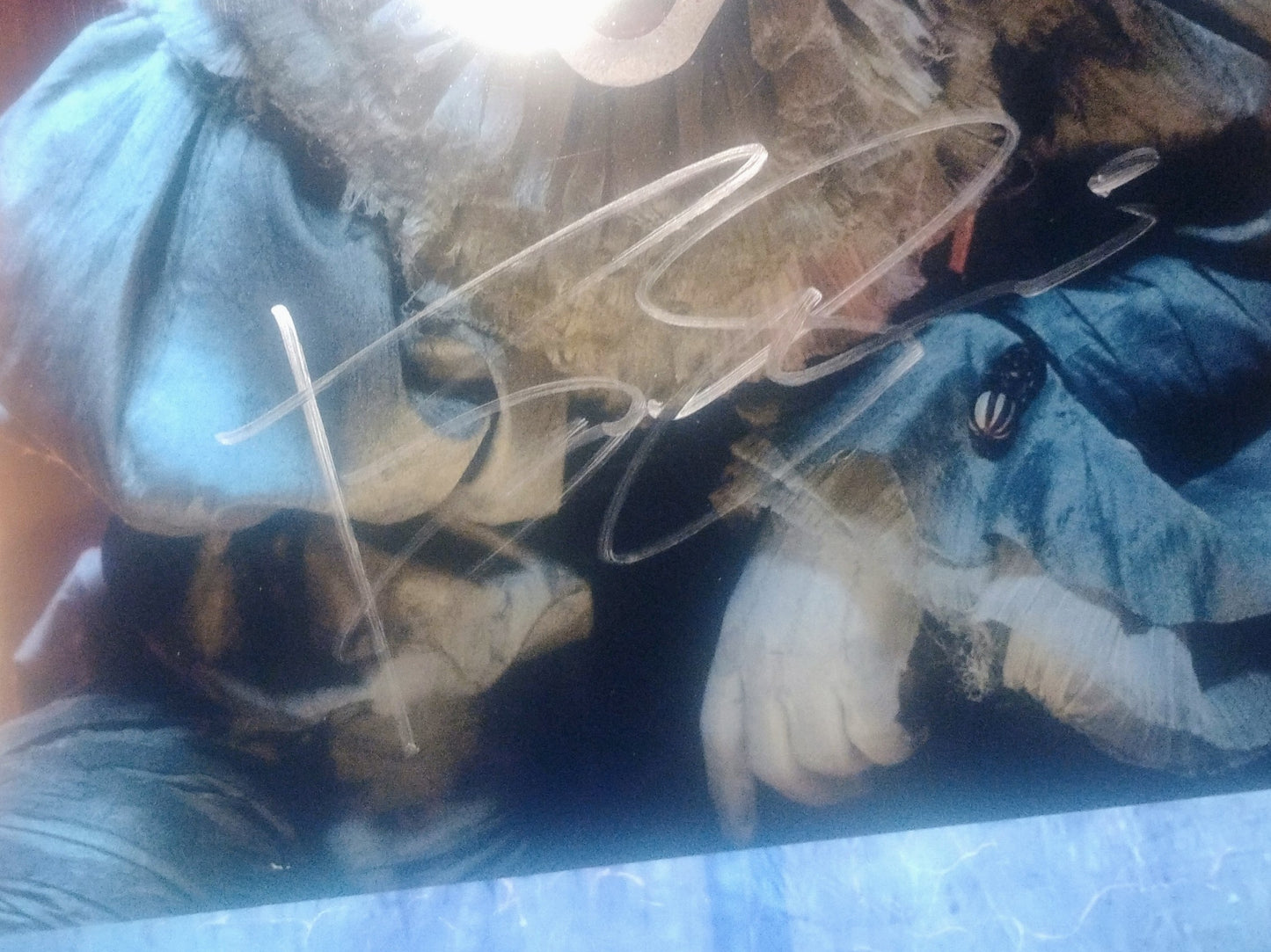 Bill Skarsgard Hand Signed Autograph 11x14 Photo COA Pennywise