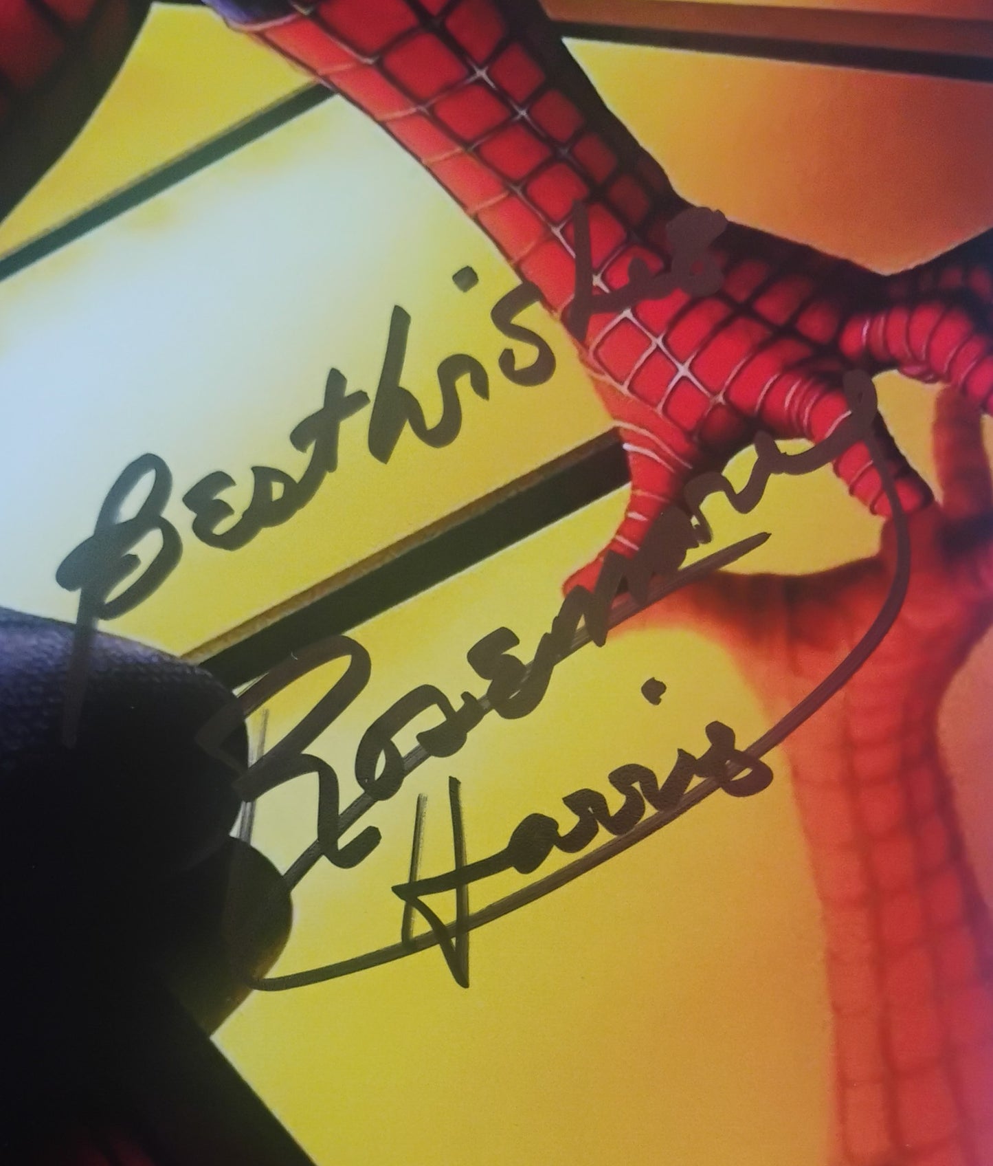 Rosemary Harris Hand Signed Autograph 8x10 Photo COA Spider-man