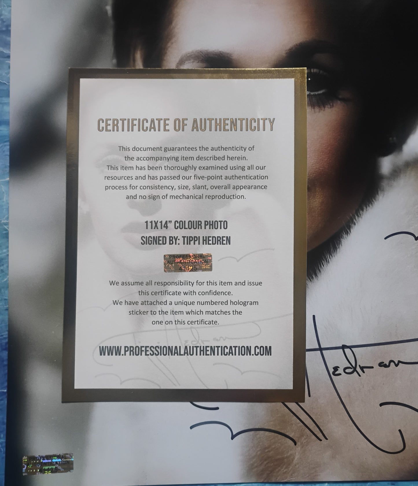 Tippi Hedren Hand Signed Autograph 11x14 Photo COA The Birds