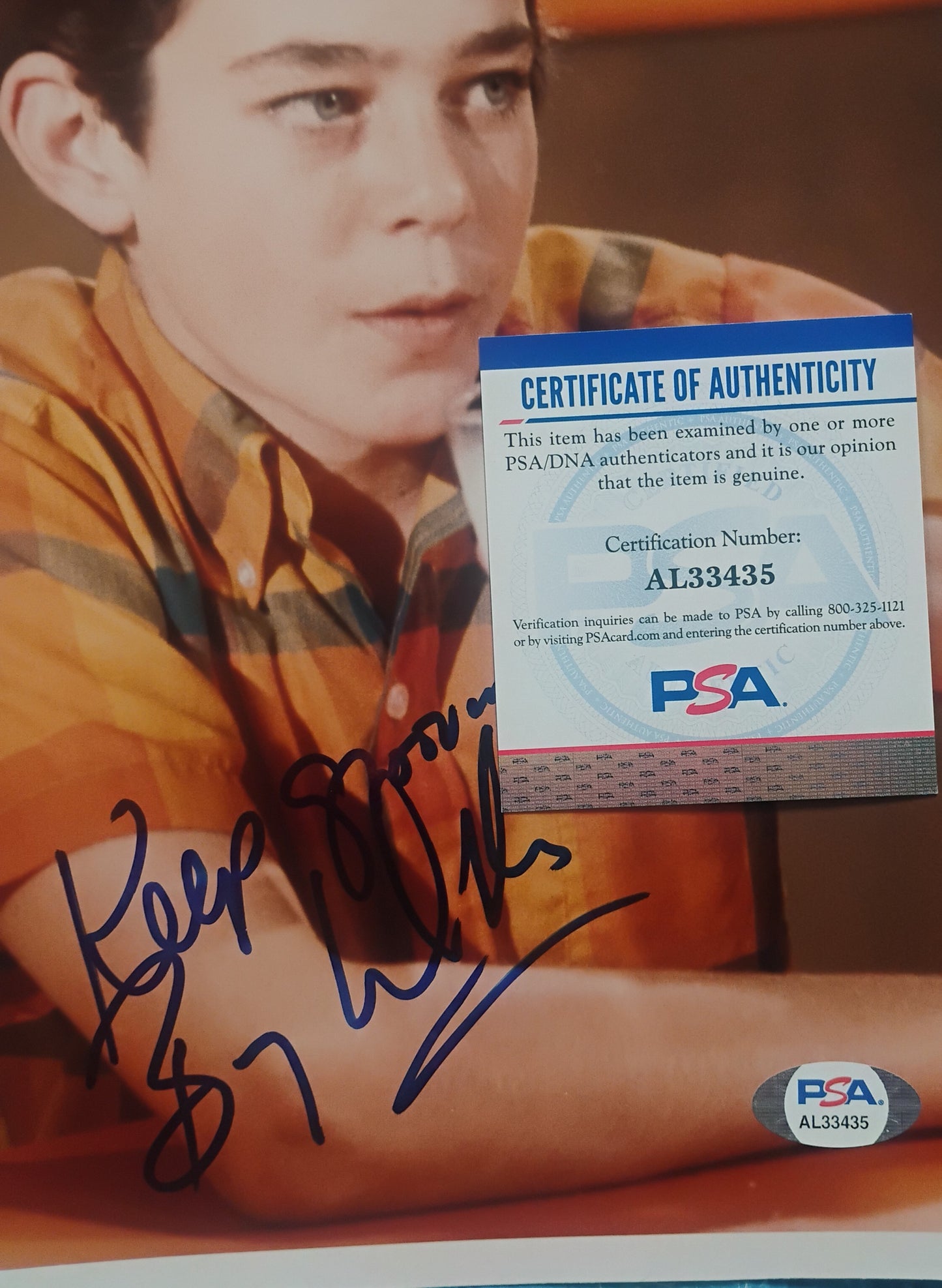 Barry Williams Hand Signed Autograph 8x10 Photo PSA COA The Brady Bunch