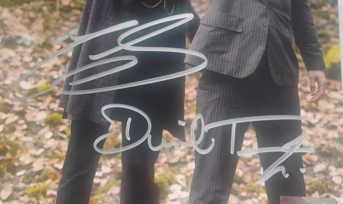 David Tennant & Matt Smith Hand Signed Autograph 8x10 Photo COA Doctor Who