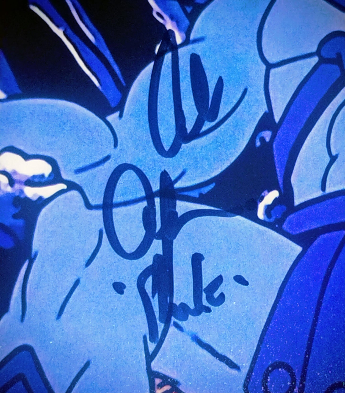 Alan Oppenheimer Hand Signed Autograph 8x10 Photo JSA COA Skeletor