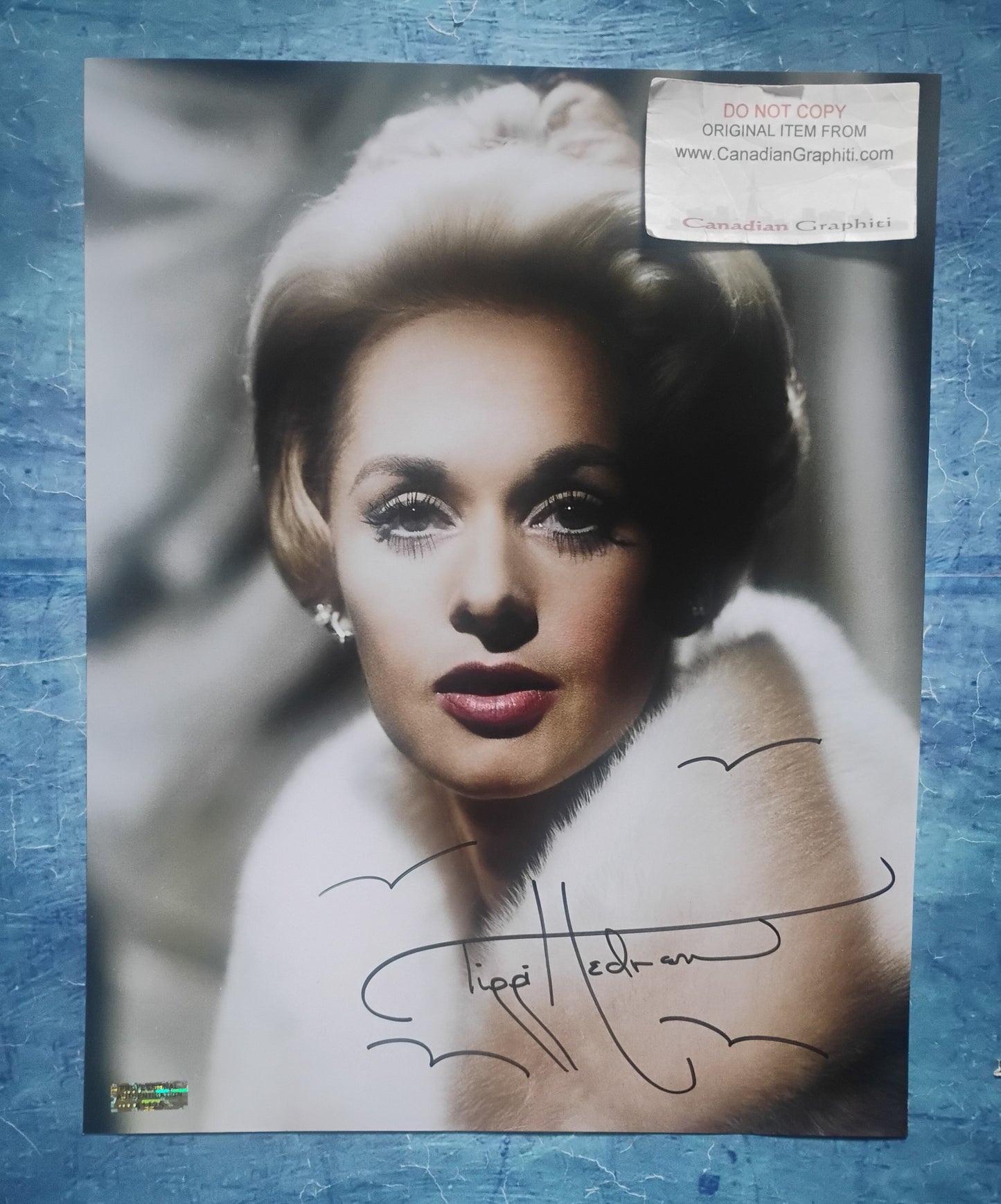 Tippi Hedren Hand Signed Autograph 11x14 Photo COA The Birds