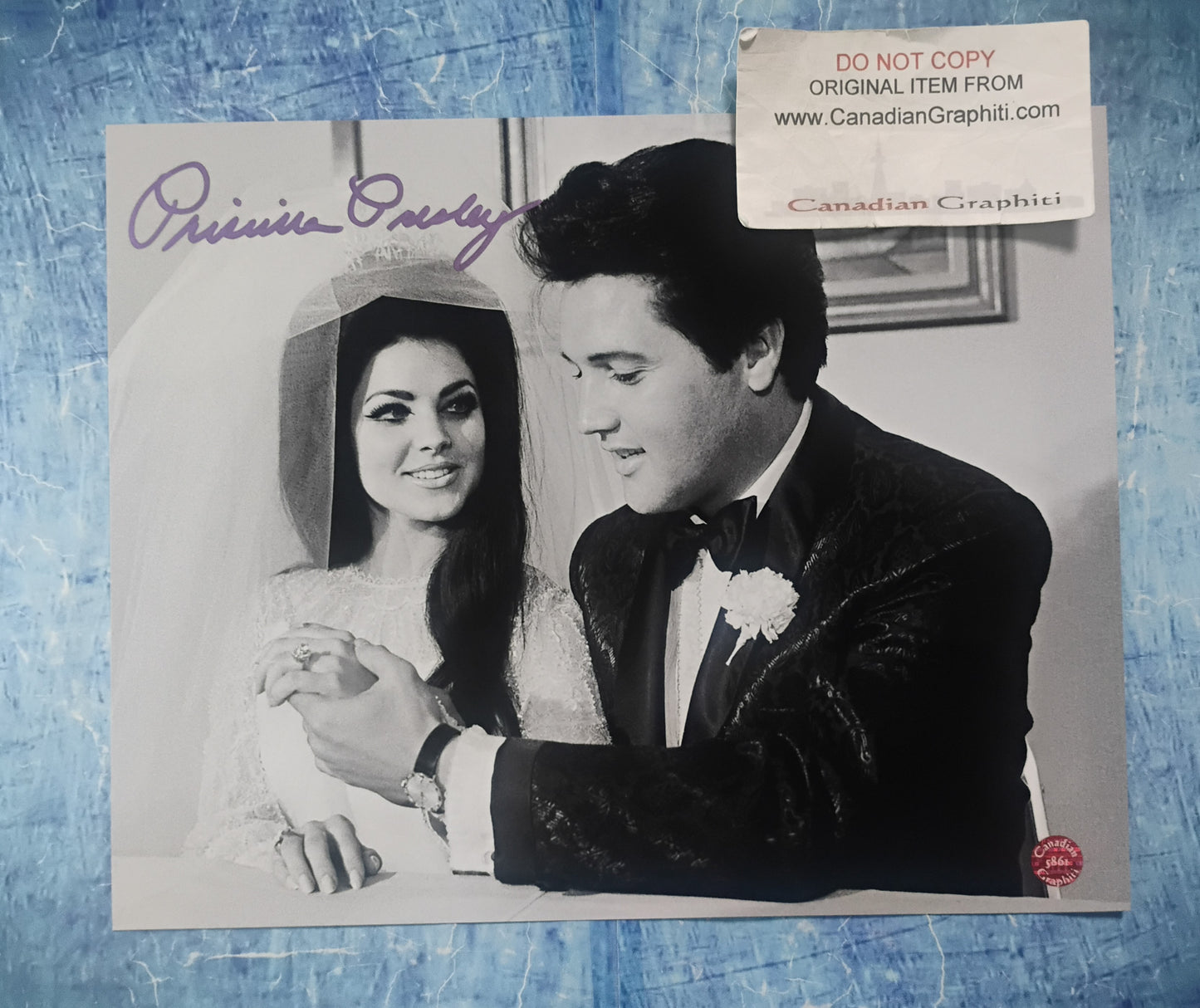 Priscilla Presley Hand Signed Autograph 8x10 Photo COA