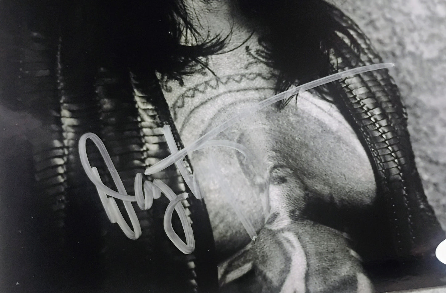 Danny Trejo Hand Signed Autograph 8x10 Photo JSA COA