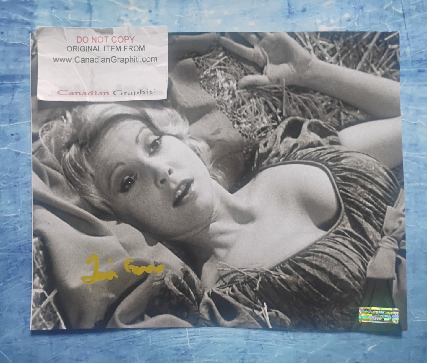 Teri Garr Hand Signed Autograph 8x10 Photo COA Young Frankenstein