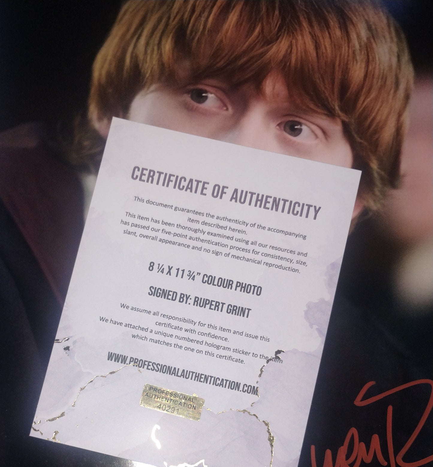 Rupert Grint Hand Signed Autograph Photo COA Harry Potter