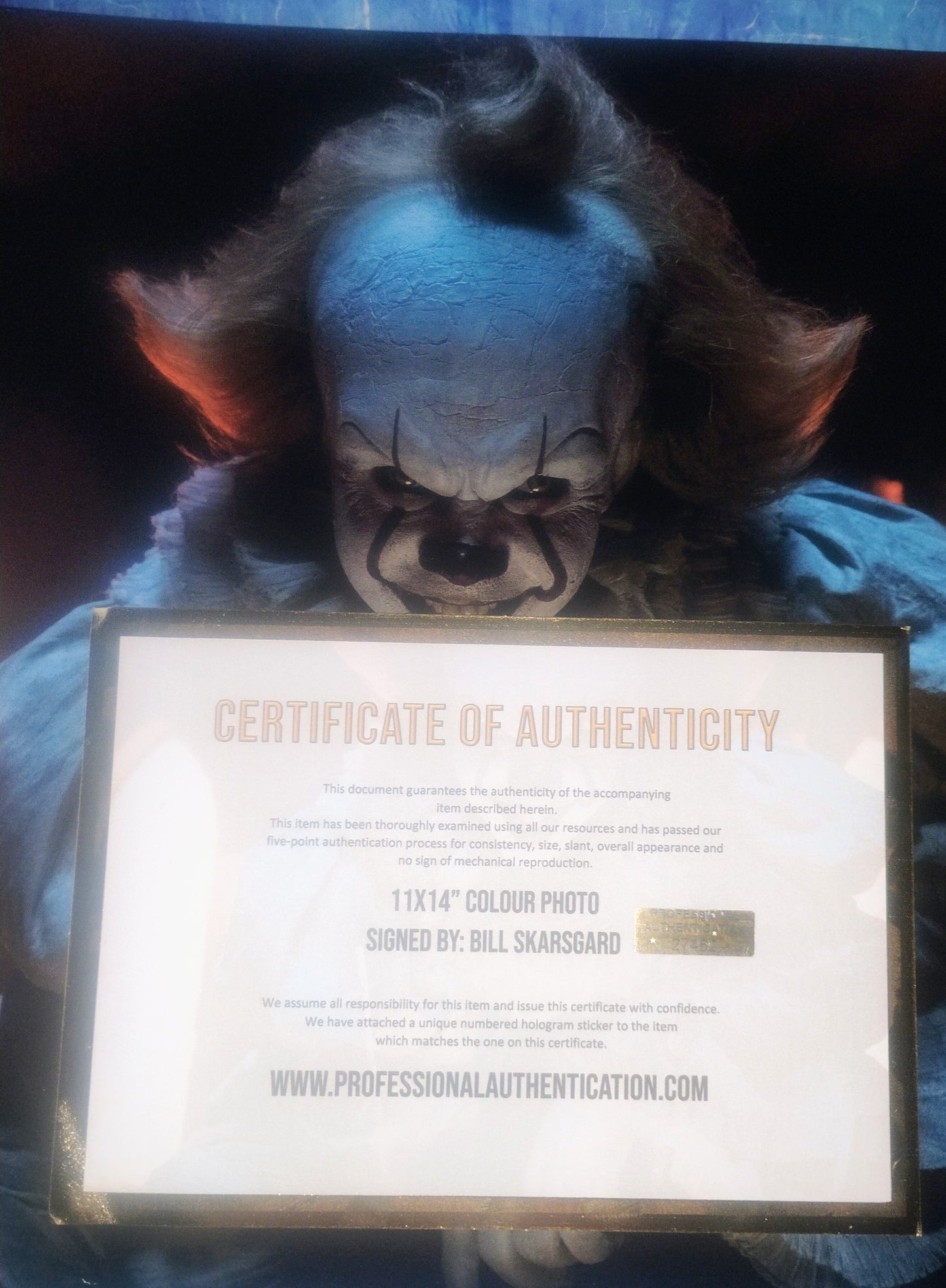 Bill Skarsgard Hand Signed Autograph 11x14 Photo COA Pennywise