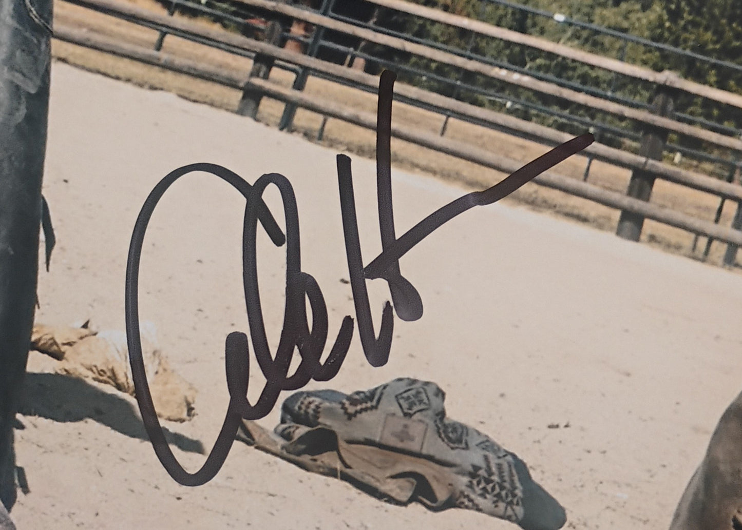 Cole Hauser Hand Signed Autograph 8x10 Photo BAS COA Yellowstone
