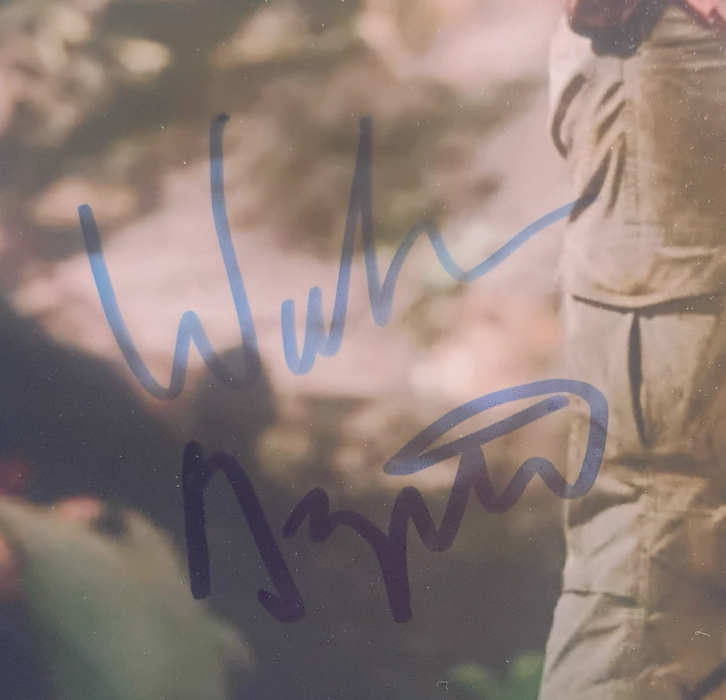 Walton Goggins Hand Signed Autograph 8x10 Photo BAS COA
