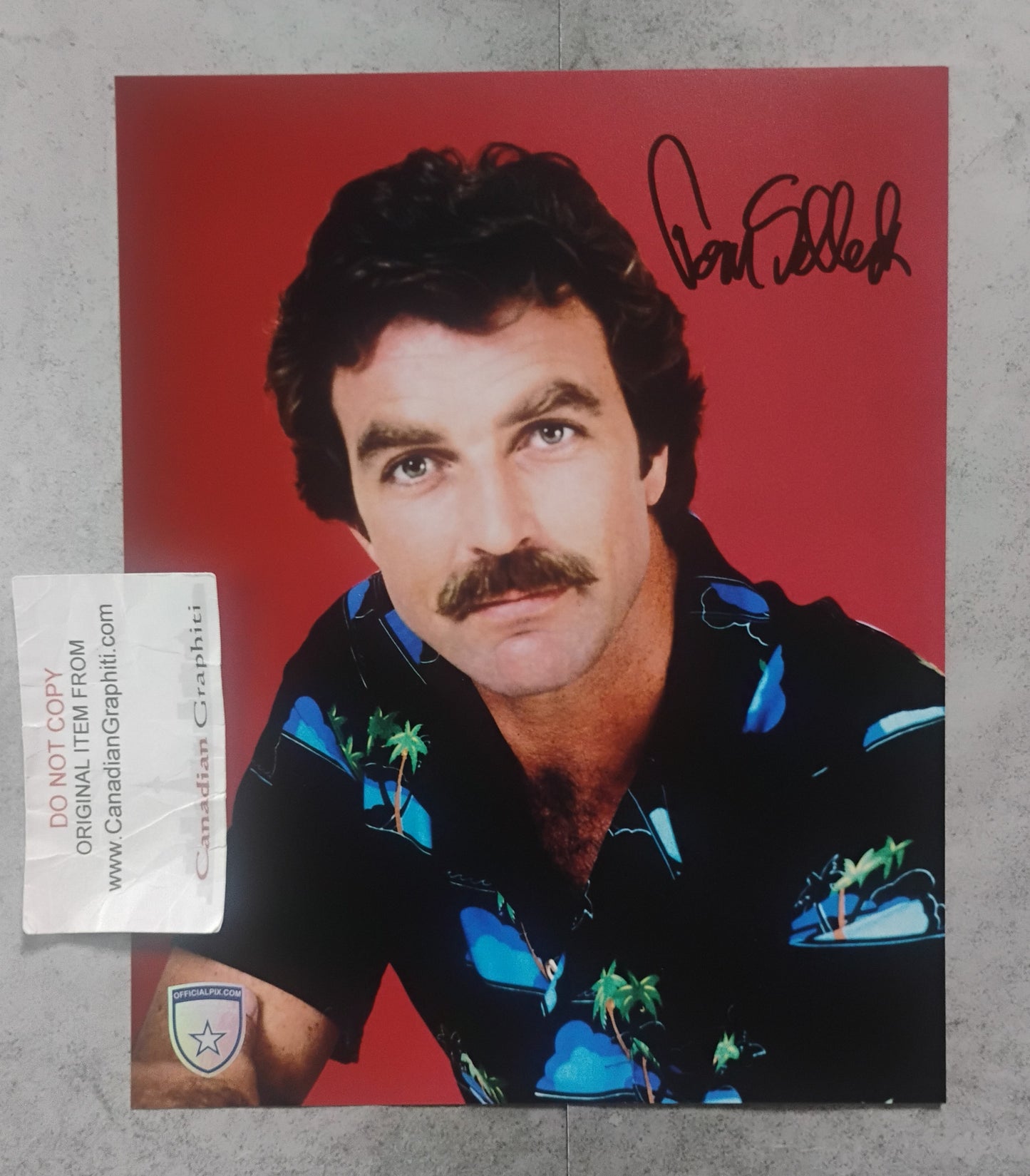 Tom Selleck Hand Signed Autograph 8x10 Photo OPix COA