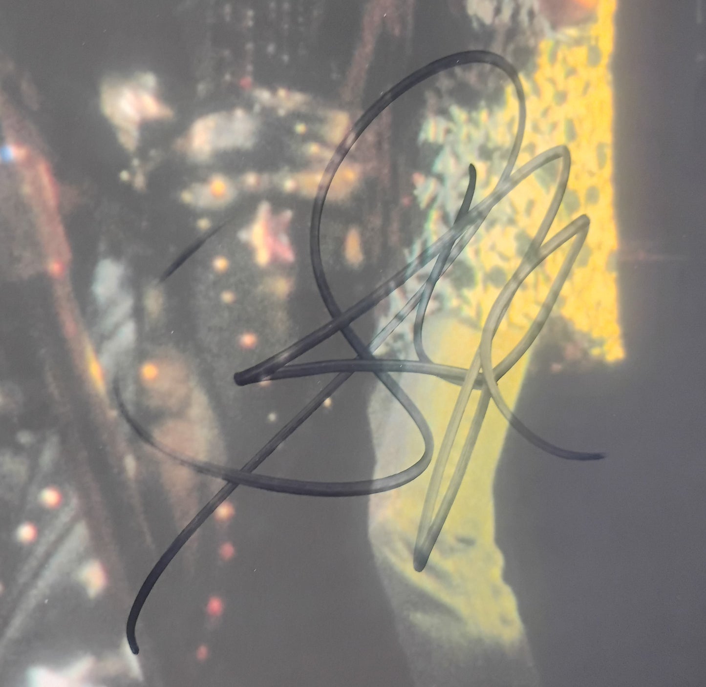 Steven Tyler Hand Signed Autograph 11x14 Photo COA + PSA Aerosmith