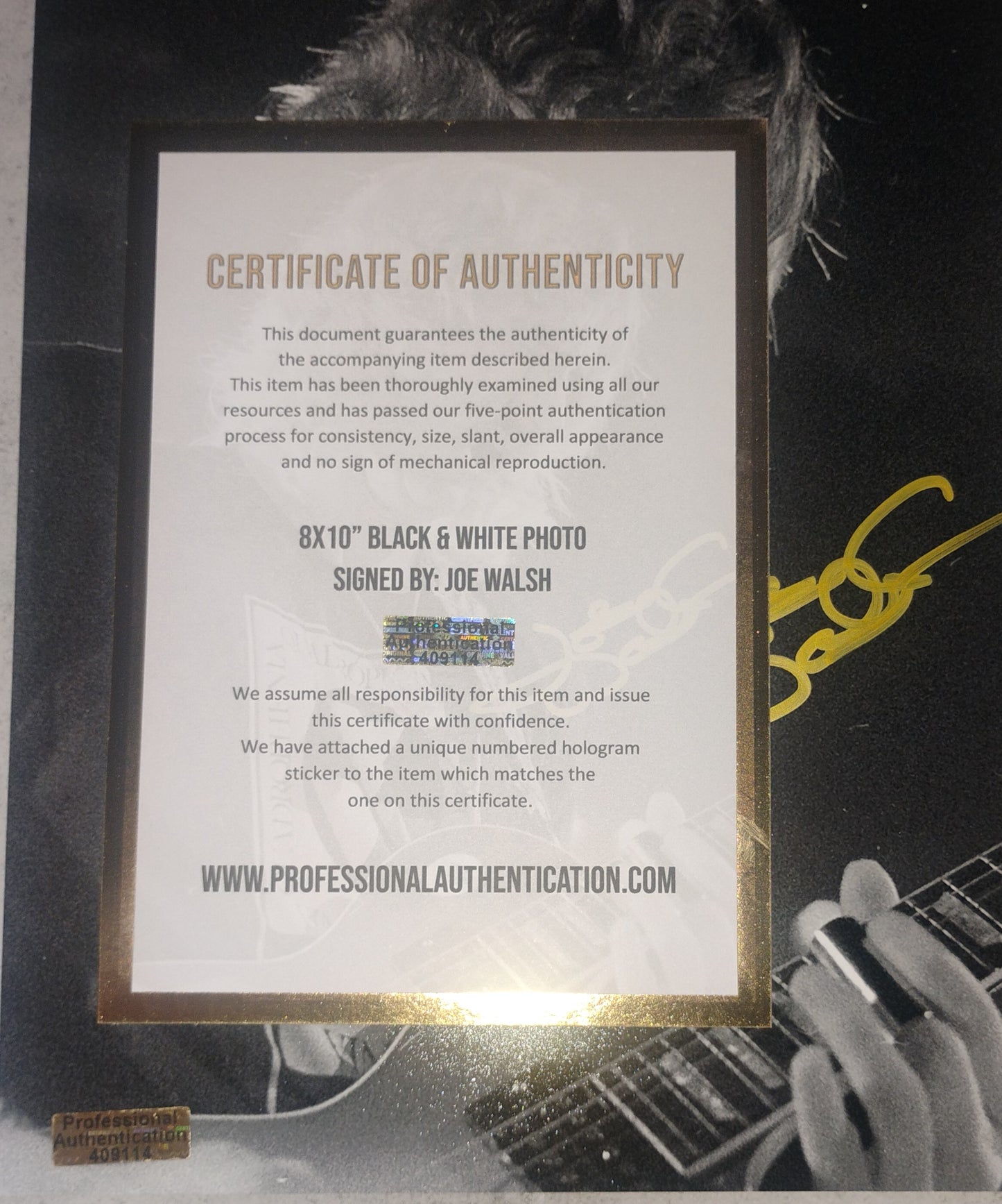 Joe Walsh Hand Signed Autograph 8x10 Photo COA The Eagles