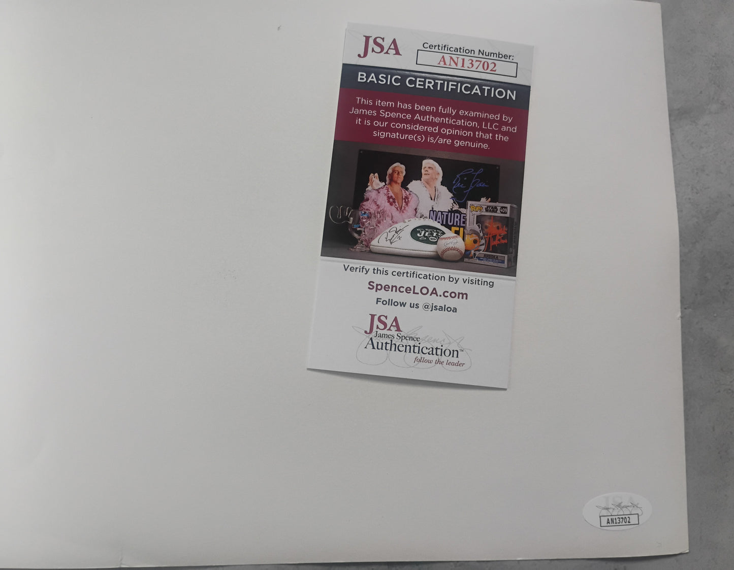 Nancy Stephens Hand Signed Autograph 8x10 Photo JSA COA Halloween