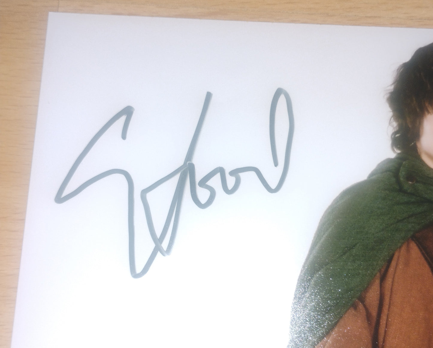 Elijah Wood Hand Signed Autograph 8x10 Photo BAS COA Lord Of The Rings
