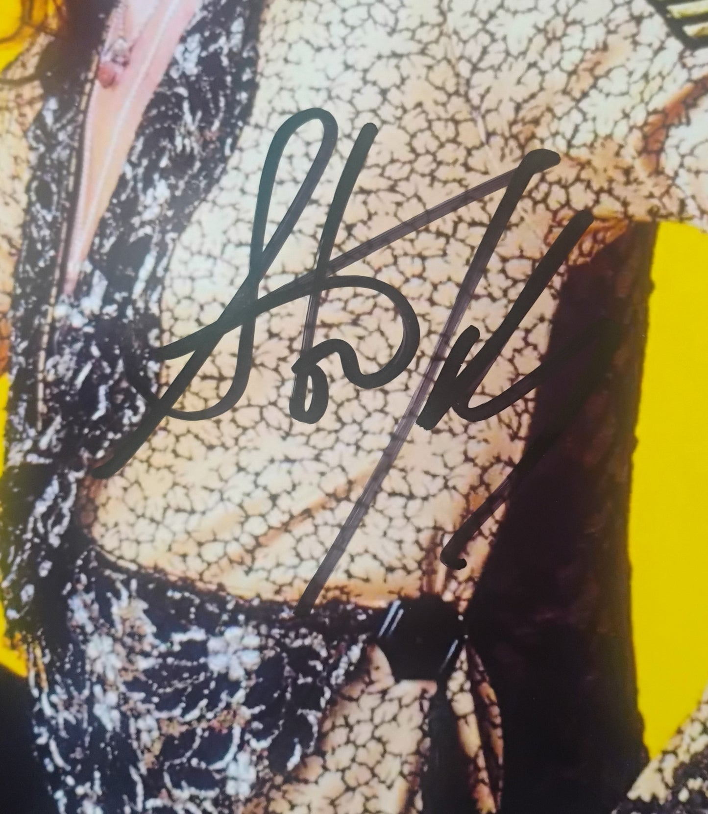 Steven Tyler Hand Signed Autograph 11x14 Photo COA Aerosmith