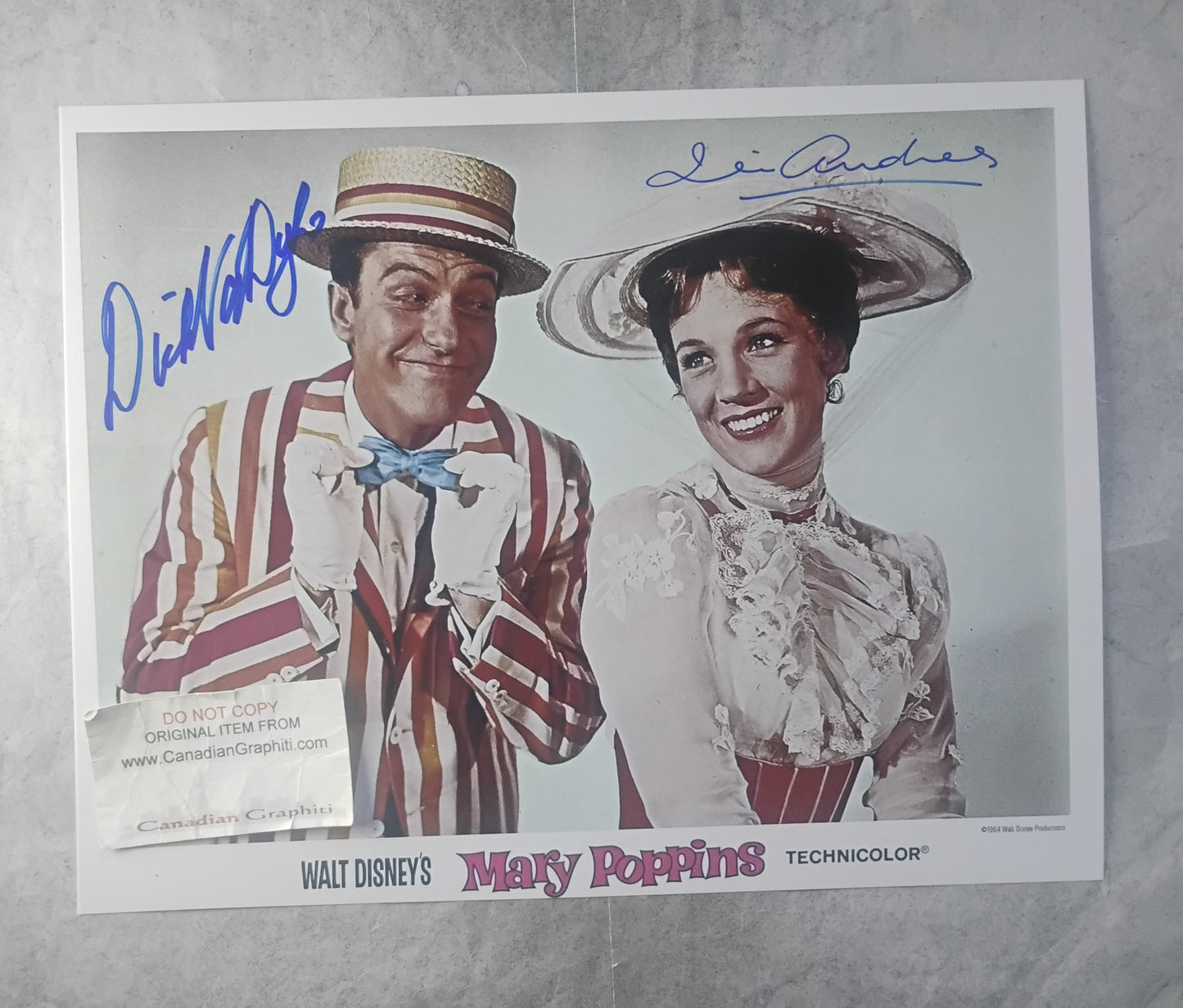 Julie Andrews & Dick Van Dyke Hand Signed Autograph 11x14 Photo COA Mary Poppins