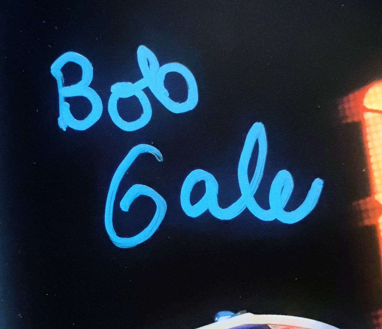 Bob Gale Hand Signed Autograph 8x10 Photo COA Back To The Future