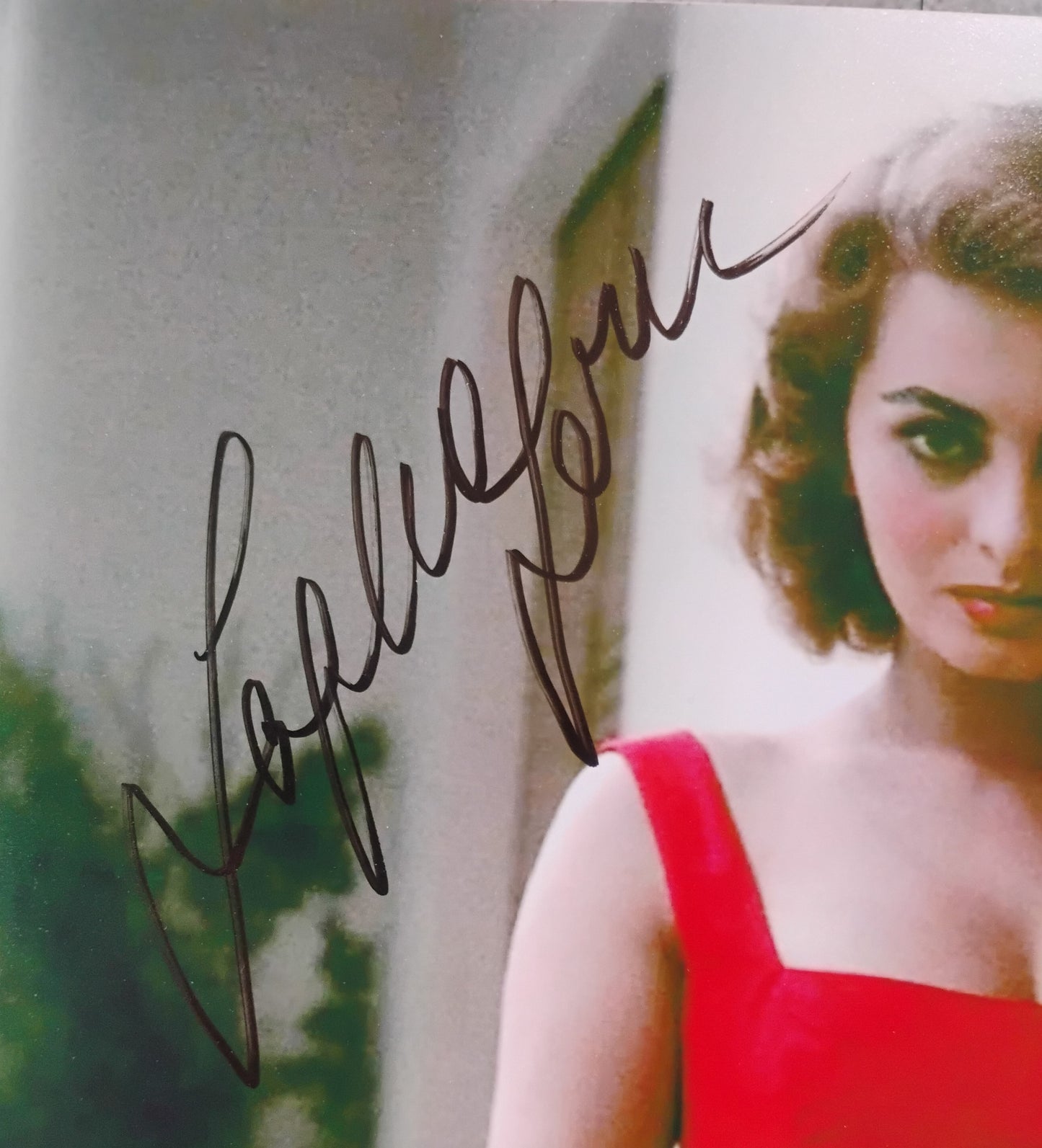 Sophia Loren Hand Signed Autograph 8x10 Photo BAS COA