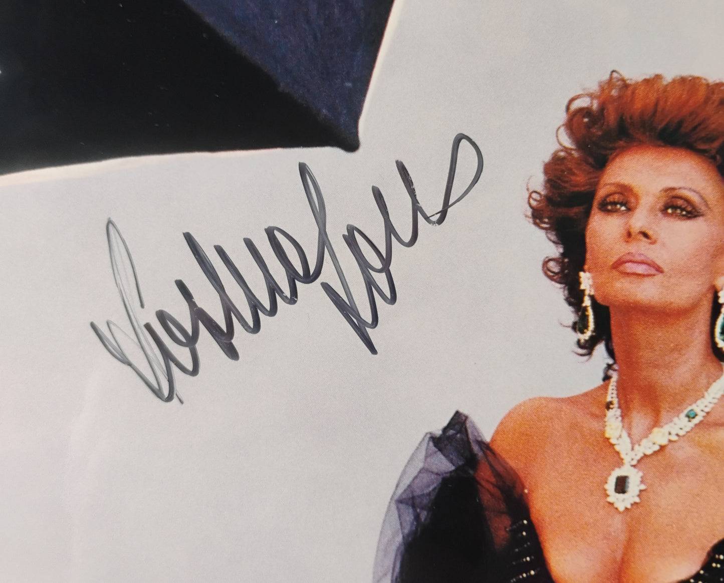 Sophia Loren Hand Signed Autograph 8x10 Photo JSA COA