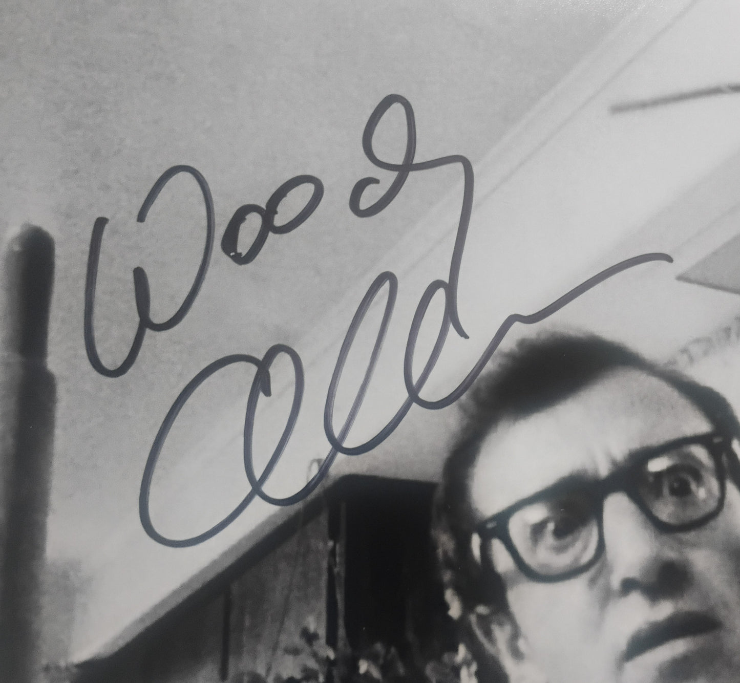 Woody Allen Hand Signed Autograph 8x10 Photo COA