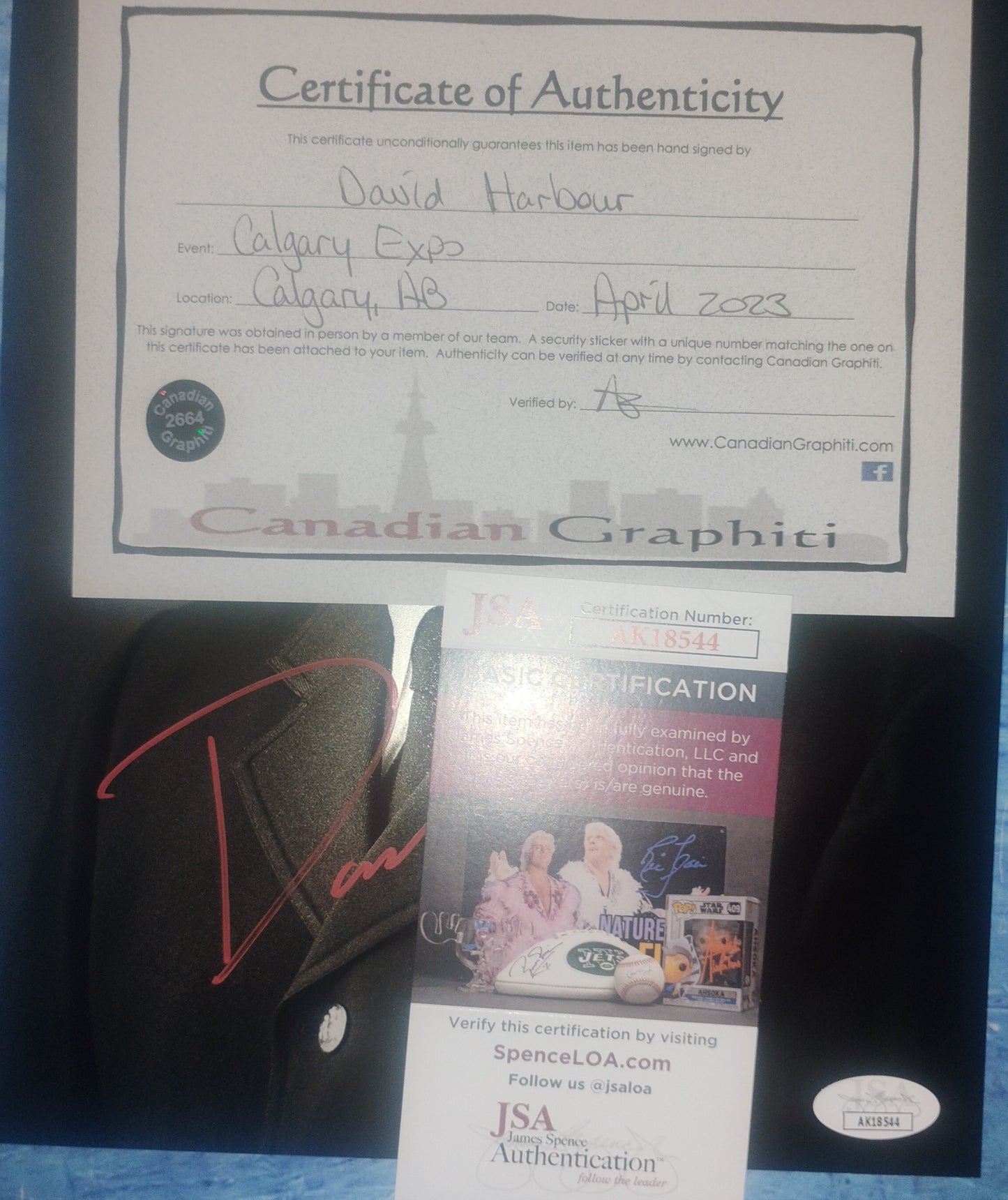 David Harbour Hand Signed Autograph 8x10 Photo JSA COA Stranger Things