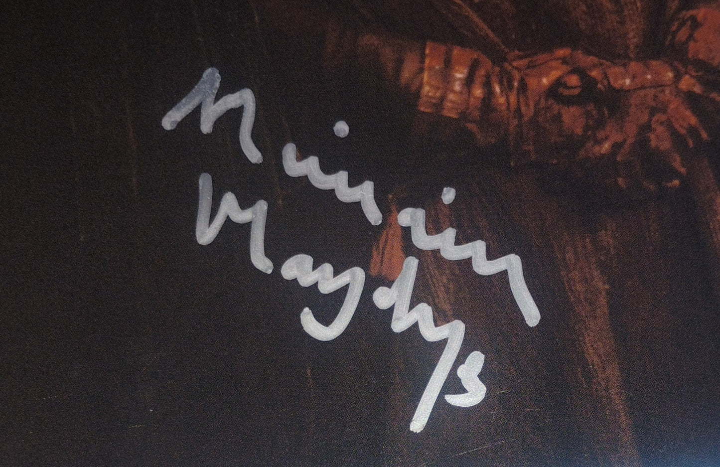 Miriam Margoyles Hand Signed Autograph 8x10 Photo JSA COA Harry Potter
