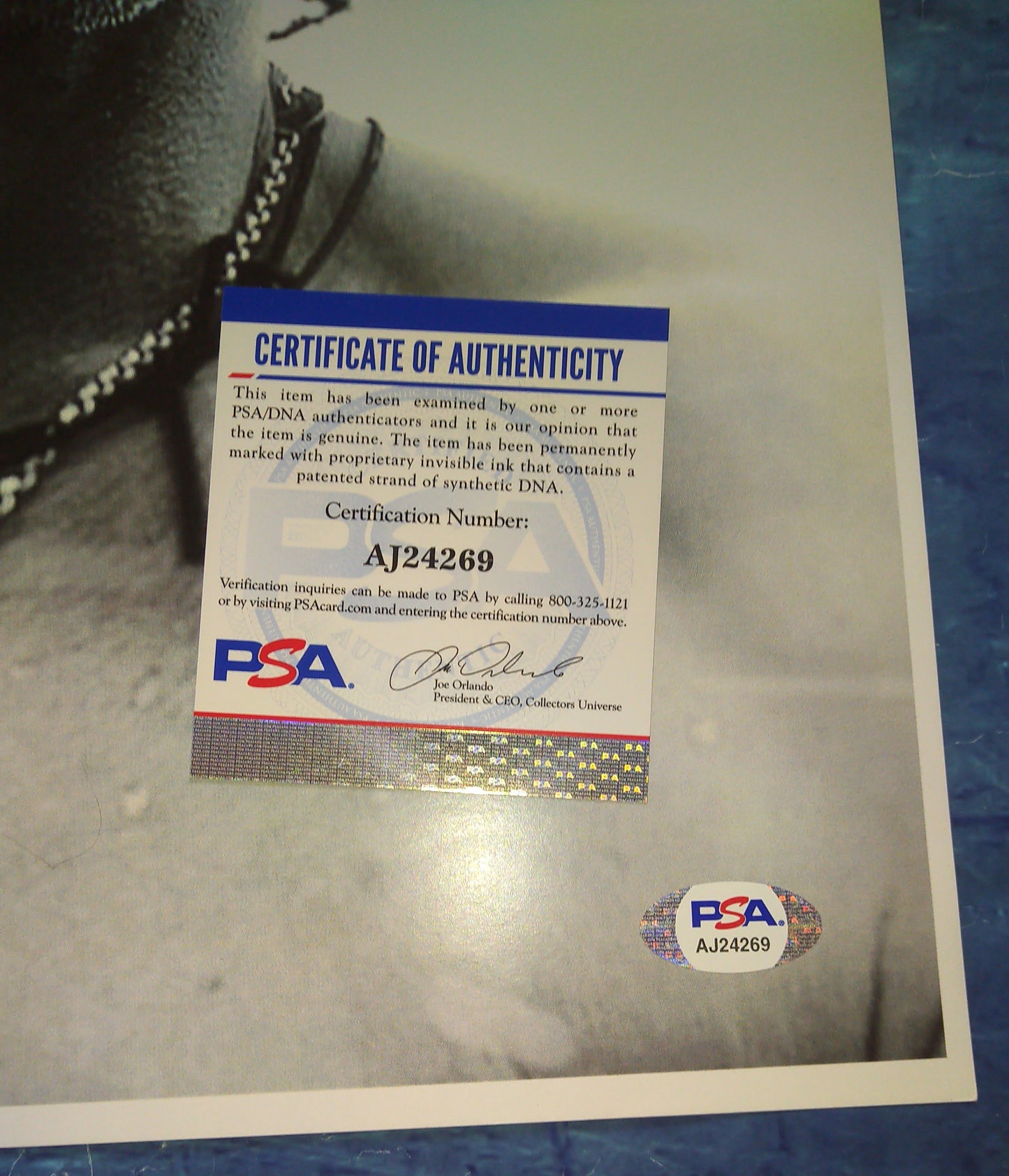 Gavin Rossdale Hand Signed Autograph 12x18 Photo PSA COA Bush