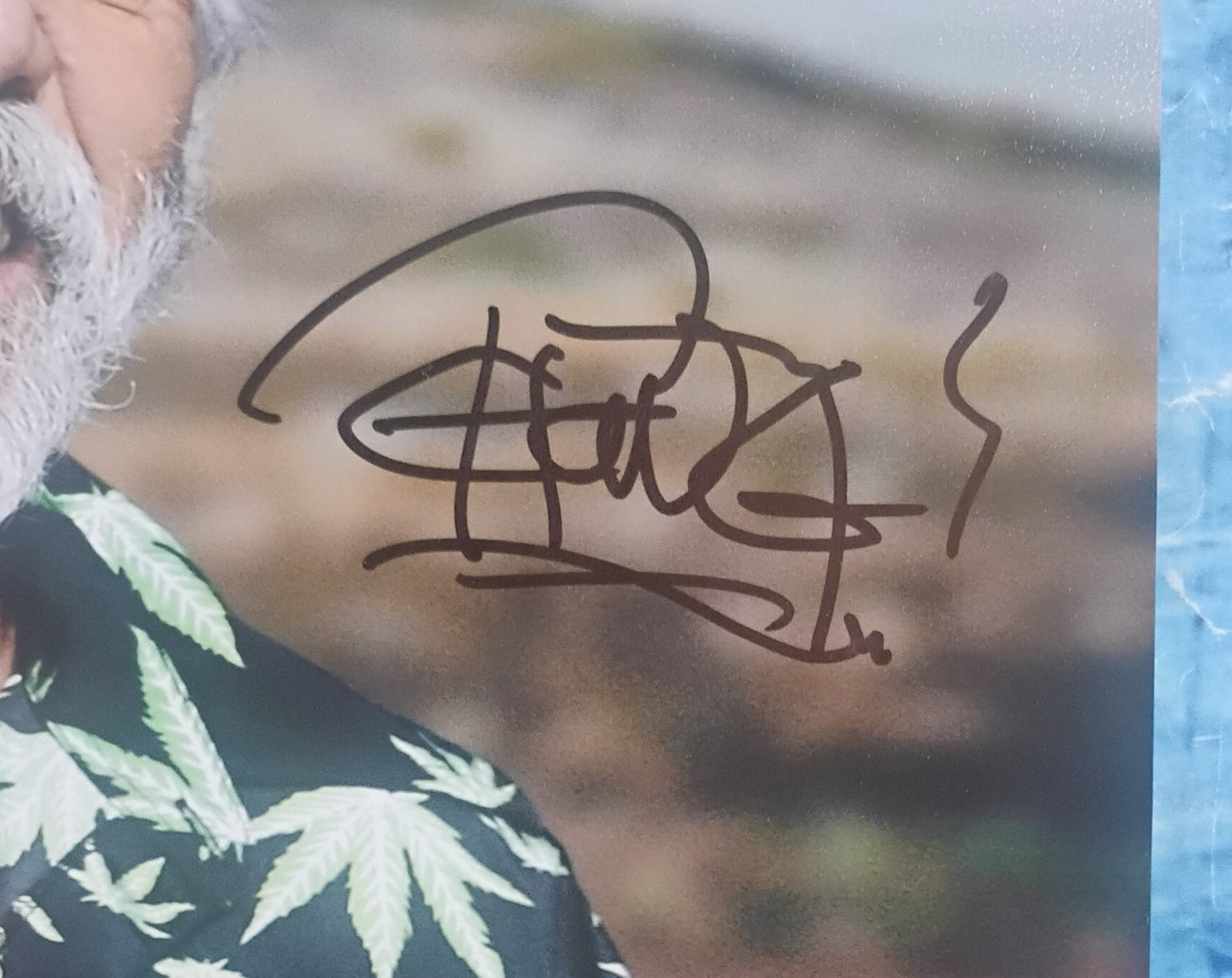 Tommy Chong Hand Signed Autograph 8x10 Photo PSA COA