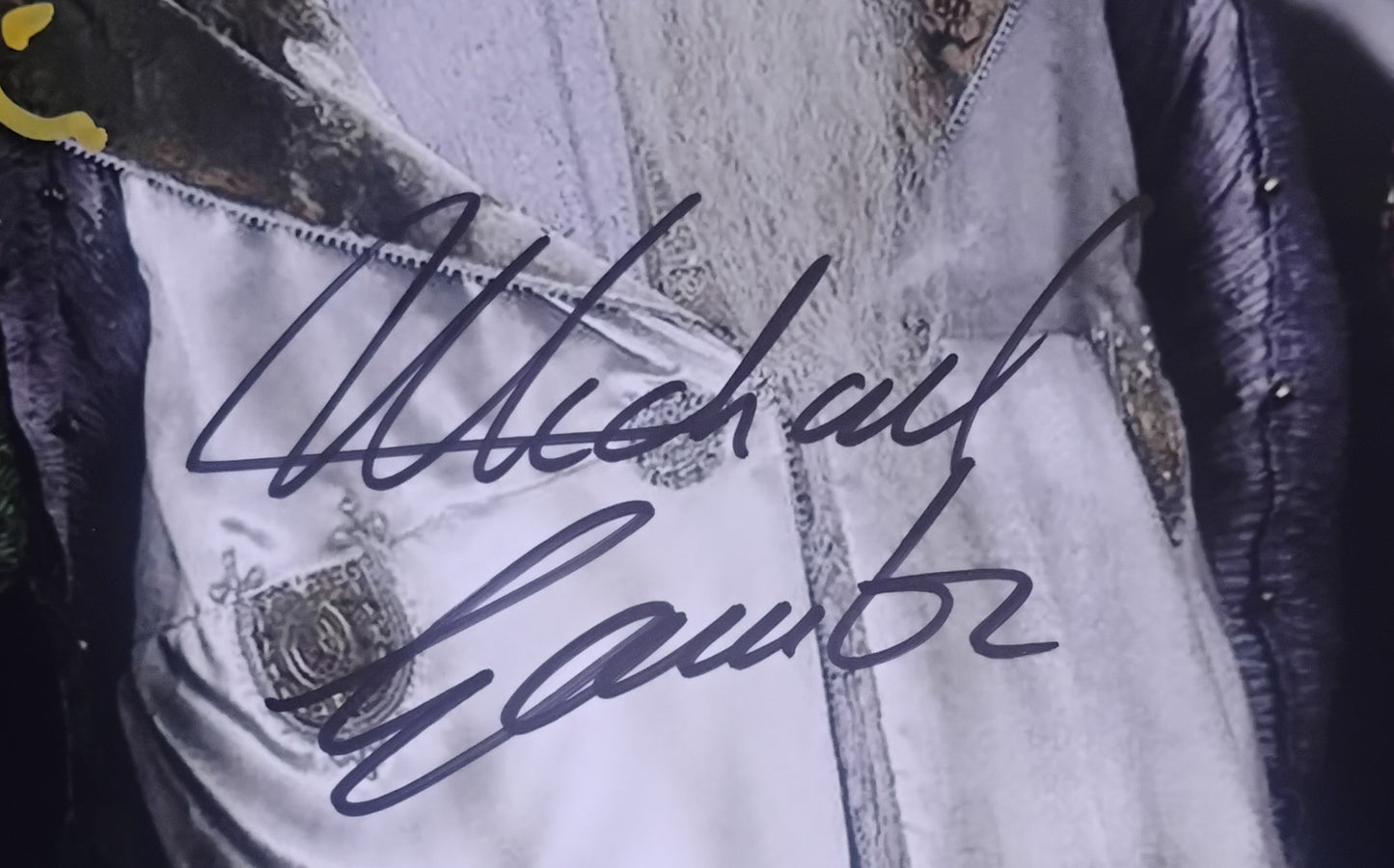 Maggie Smith & Michael Gambon Hand Signed Autograph 8x10 Photo COA Harry Potter