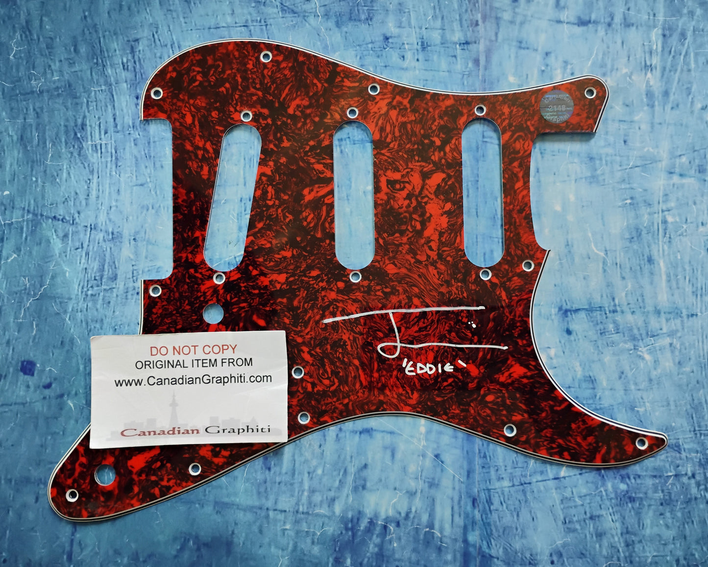 Joseph Quinn Hand Signed Autograph Guitar Pick COA Stranger Things