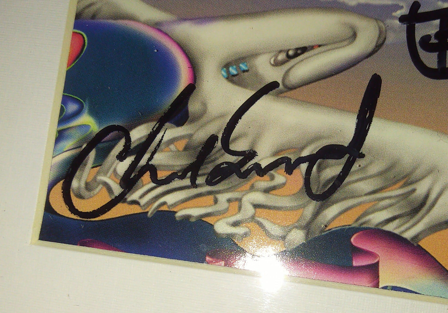 Red Hot Chili Peppers Hand Signed Autograph CD Framed PSA COA