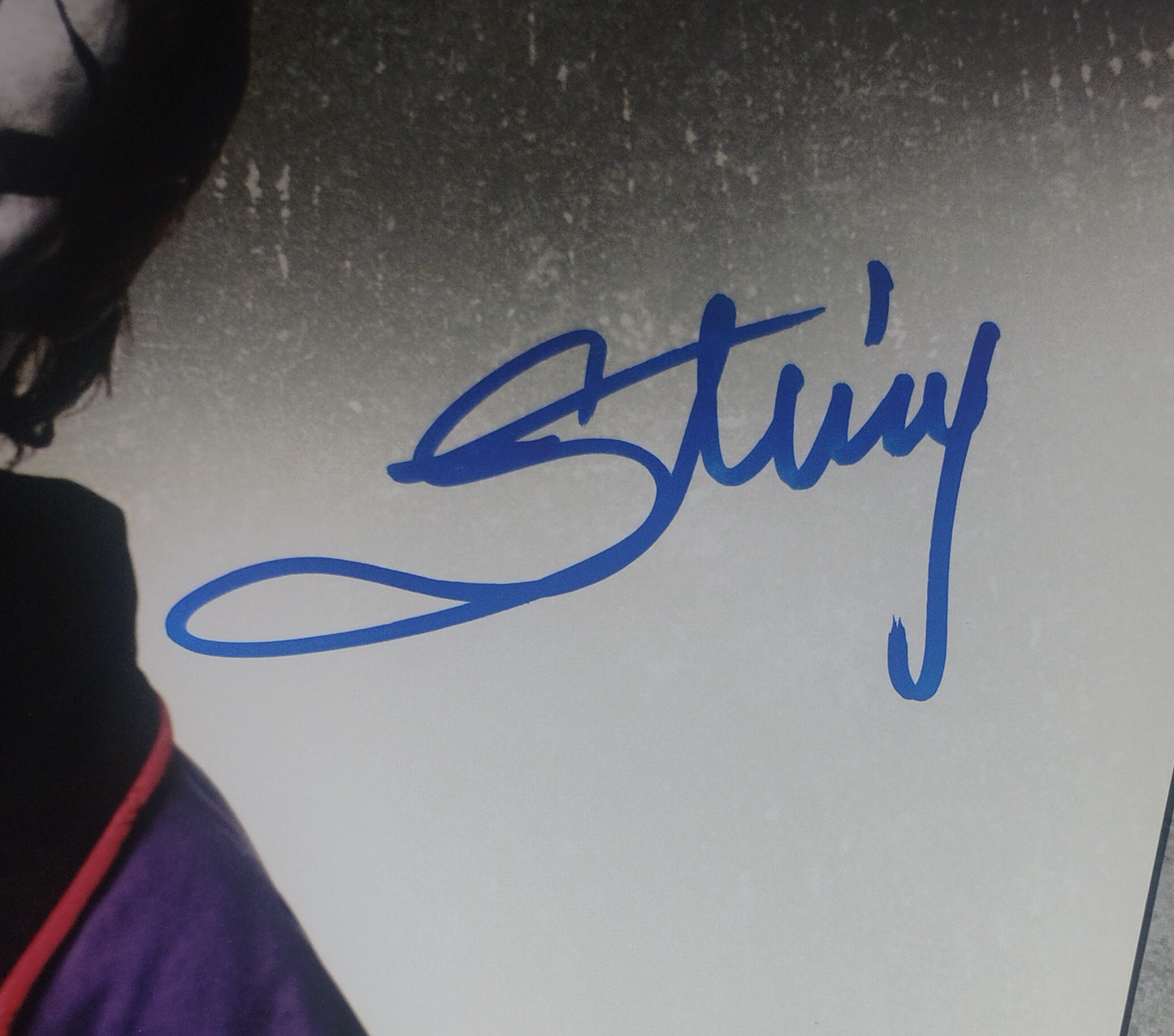 Sting Hand Signed Autograph 11x17 Photo JSA COA