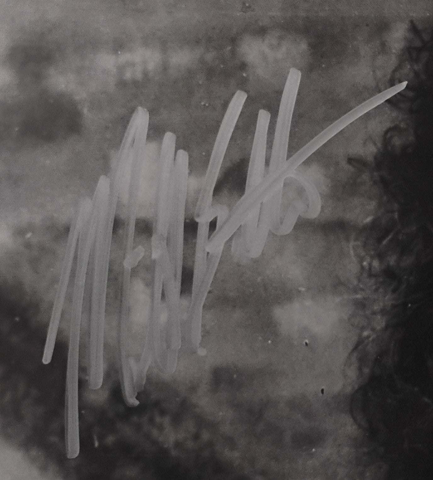 Michael Bolton Hand Signed Autograph 8x10 Photo COA