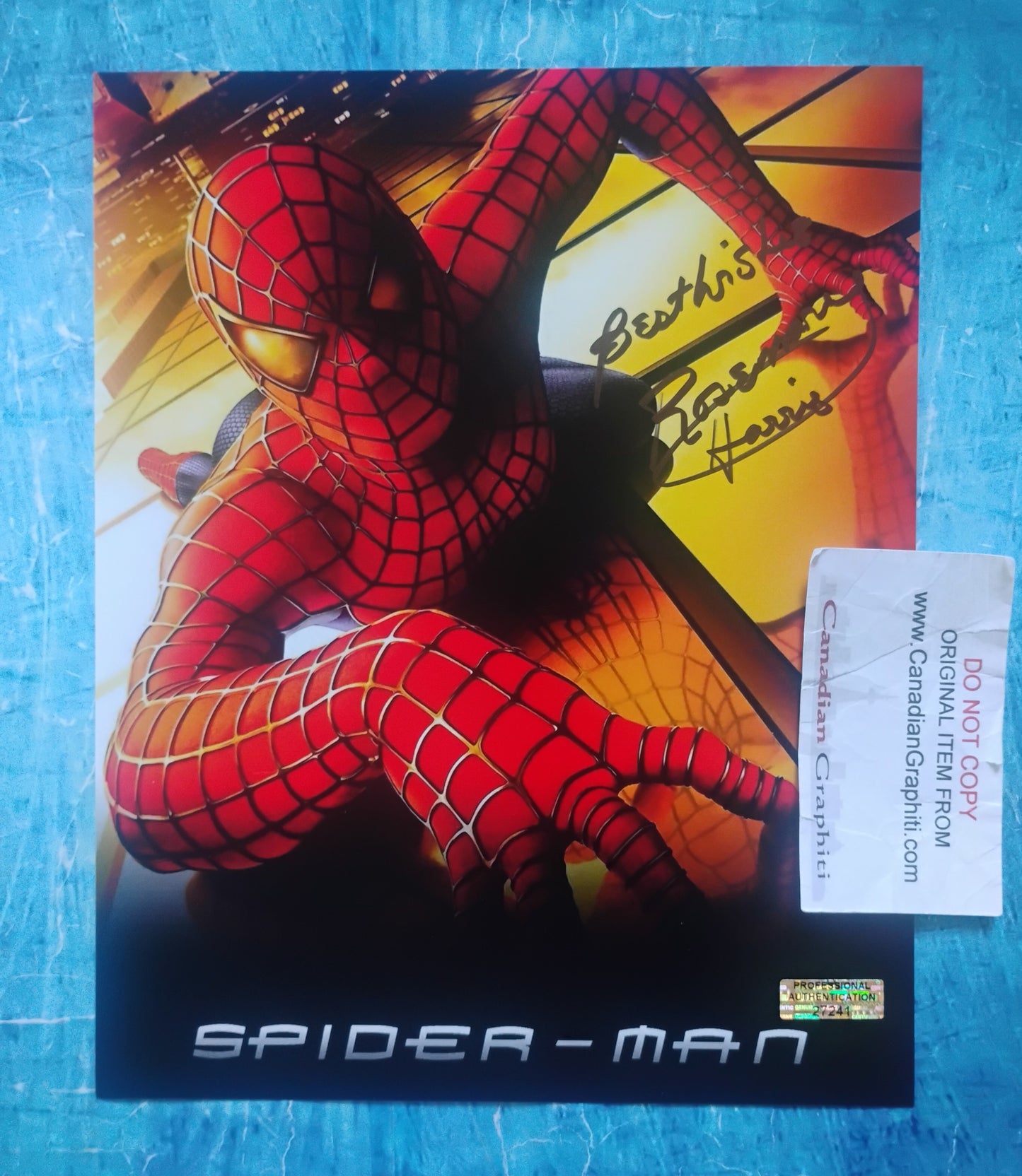 Rosemary Harris Hand Signed Autograph 8x10 Photo COA Spider-man
