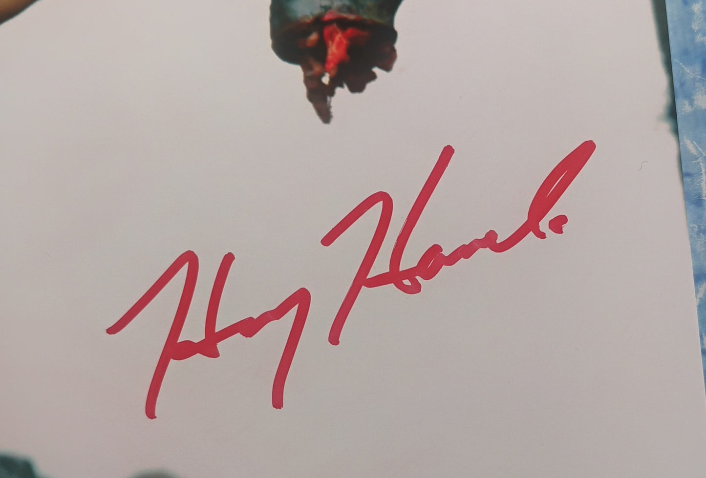 Harry Hamlin Hand Signed Autograph 8x10 Photo JSA COA Clash Of The Titans