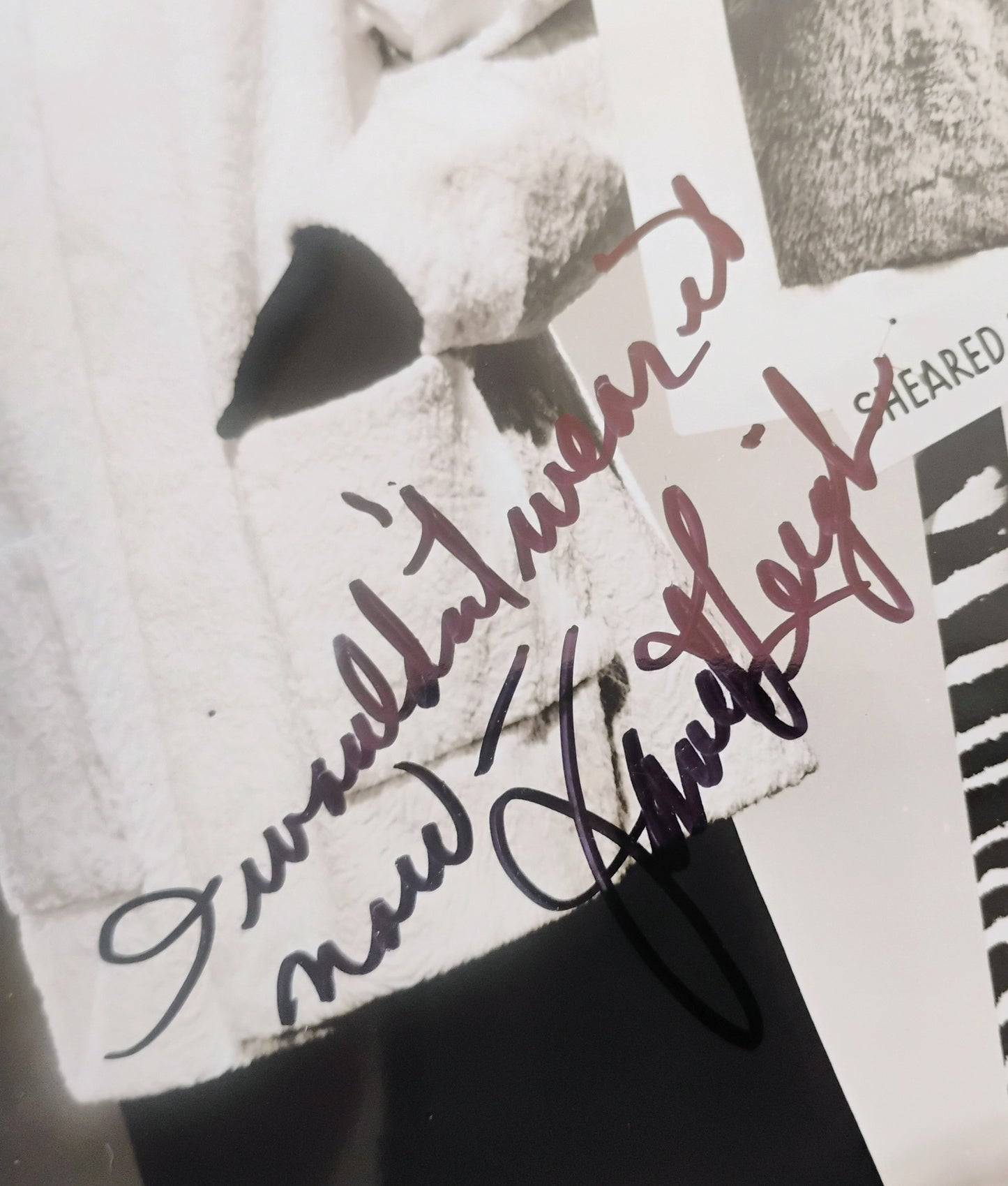 Janet Leigh Hand Signed Autograph 8x10 Photo JSA COA