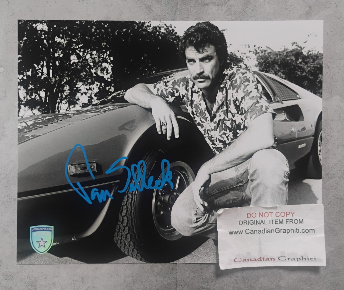Tom Selleck Hand Signed Autograph 8x10 Photo OPix COA Magnum P.I.
