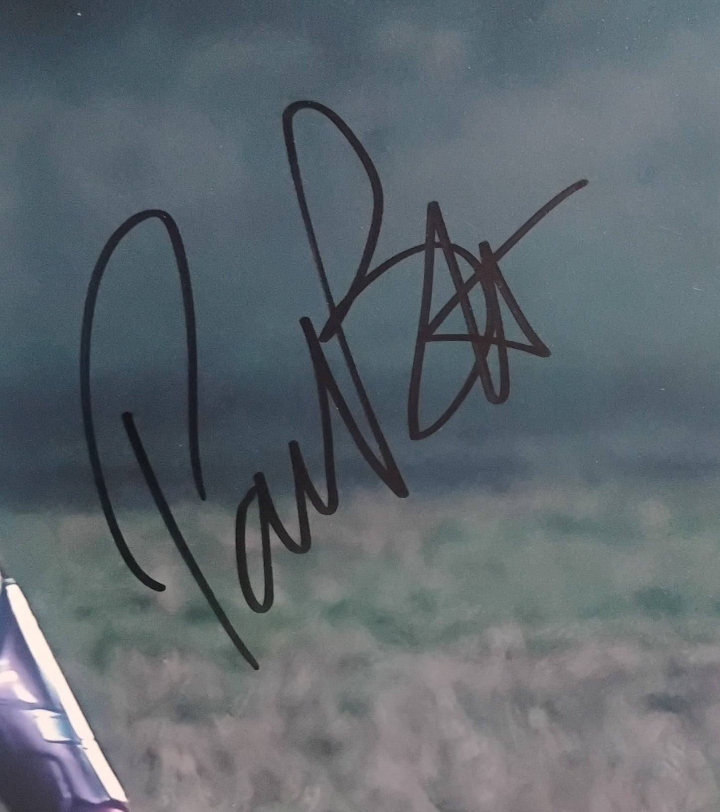 Paul Bettany Hand Signed Autograph 8x10 Photo JSA COA Vision