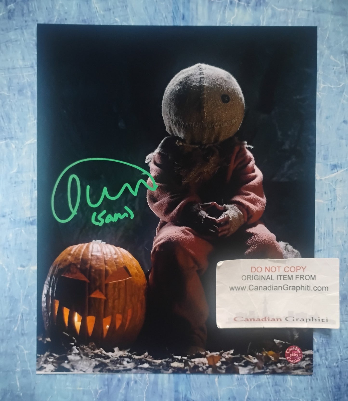Quinn Lord Hand Signed Autograph 8x10 Photo COA Trick r Treat