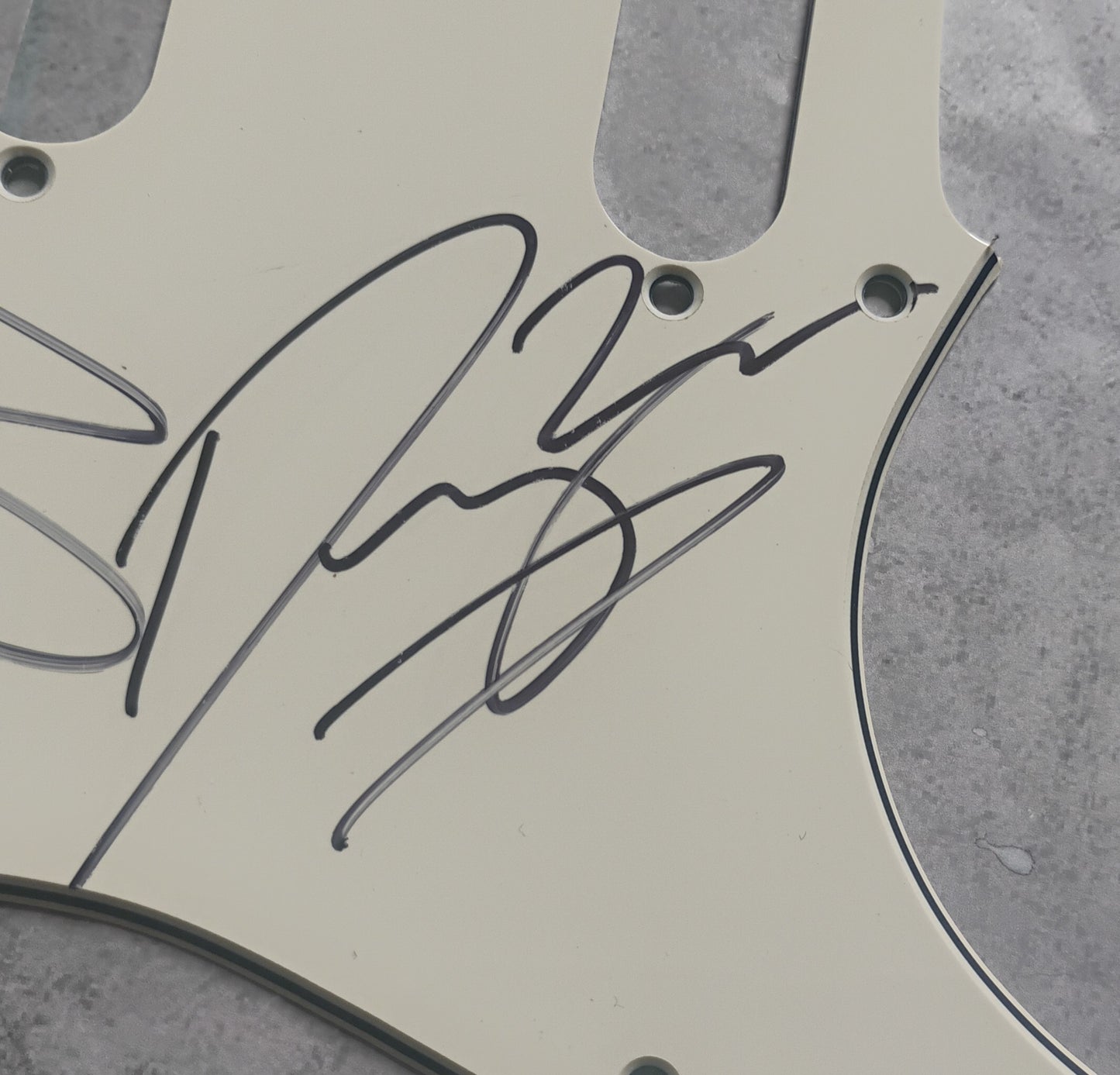 Greta Van Fleet Hand Signed Autograph Guitar Pick Guard JSA COA