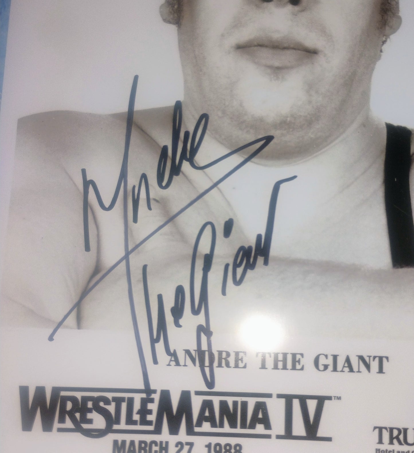 Andre The Giant Hand Signed Autograph 8x10 Photo COA