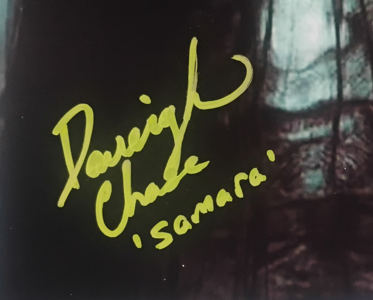 Daveigh Chase Hand Signed Autograph 8x10 Photo COA The Ring
