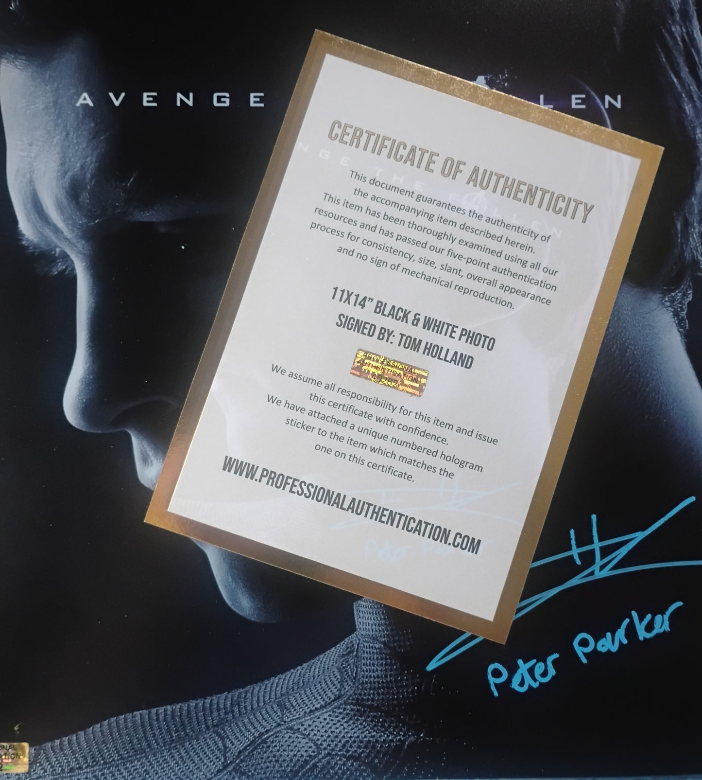 Tom Holland Hand Signed Autograph 11x14 Photo COA Spider-man