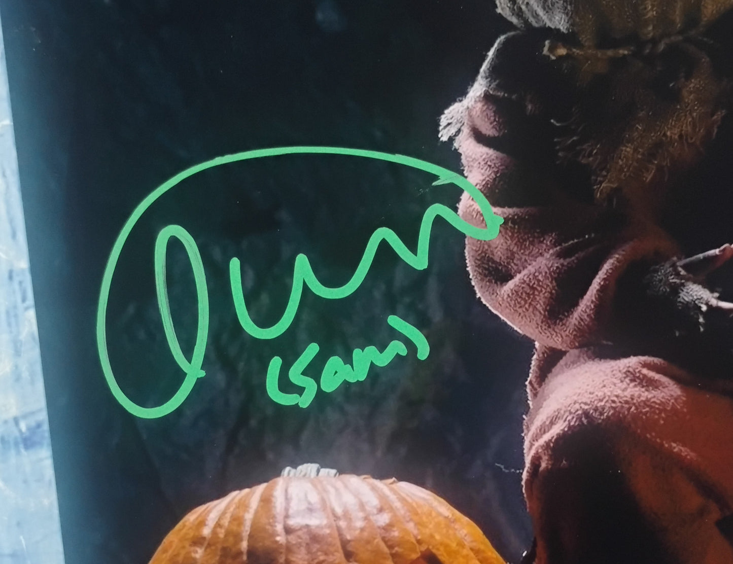 Quinn Lord Hand Signed Autograph 8x10 Photo COA Trick r Treat